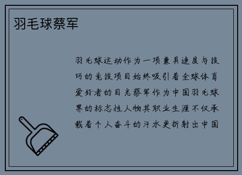 羽毛球蔡军